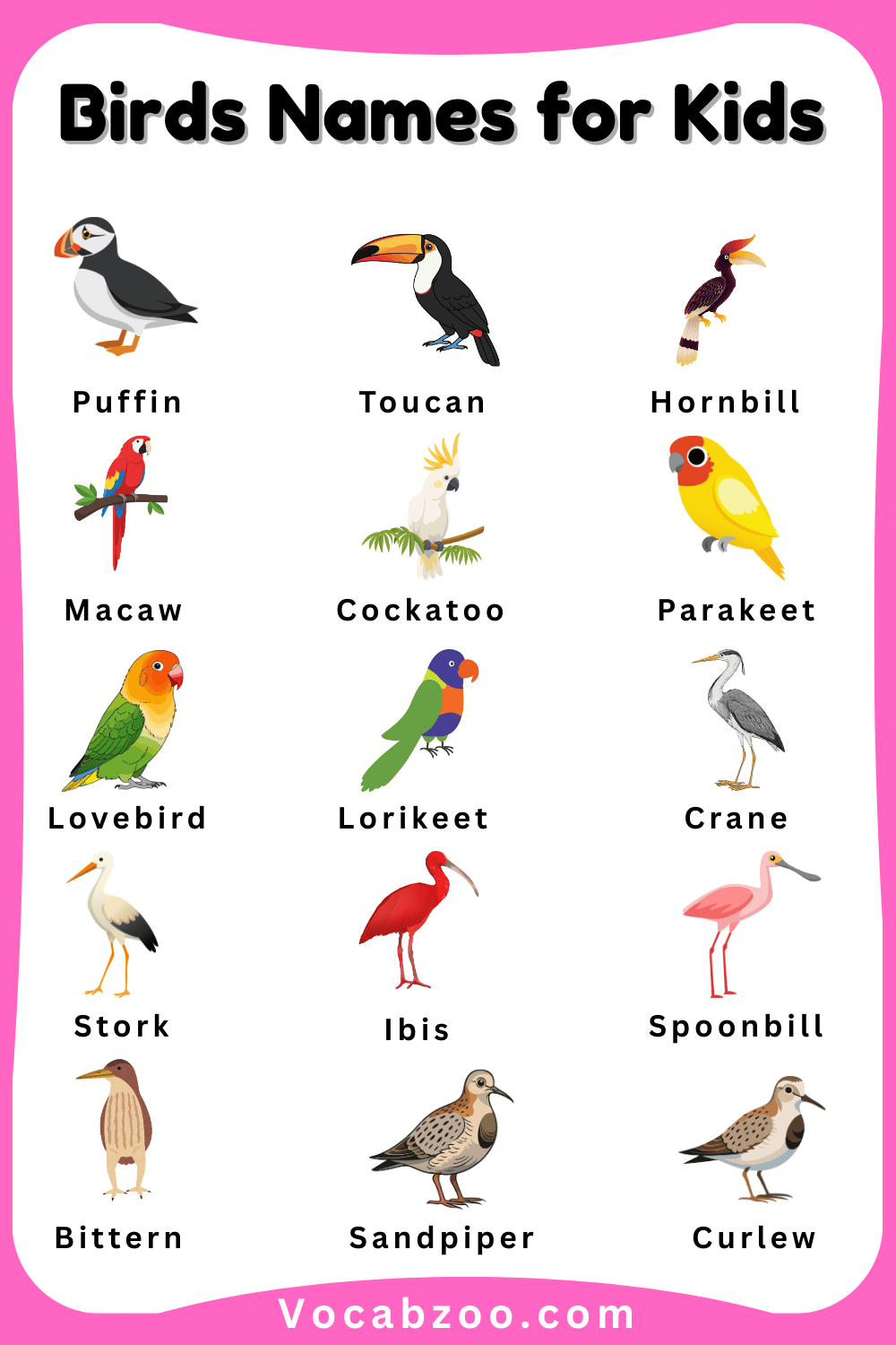 Pictures and Names of Bird for Child