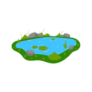 Pond | Park Things Names for Kids in English