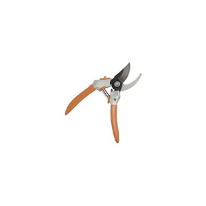 Pruners | Garden Tools Names for Kids