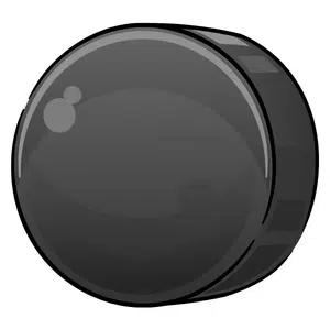 Puck | Sports Items Names for Kids