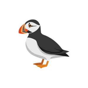 Puffin | Bird Names for Kids in English with Pictures