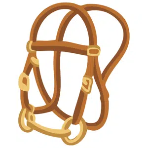 Reins | Sports Items Names for Kids