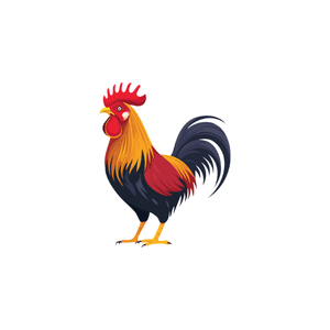 Rooster
