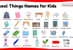 School Things Names for Kids in English with Pictures