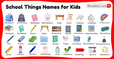 School Things Names for Kids in English with Pictures