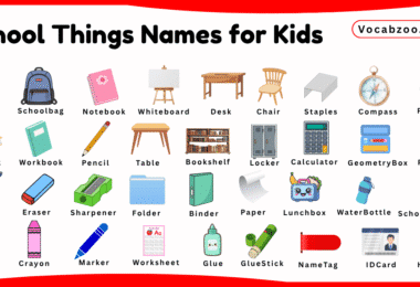 School Things Names for Kids in English with Pictures