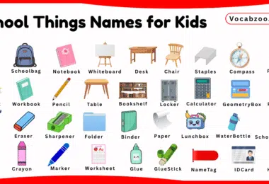 School Things Names for Kids in English with Pictures