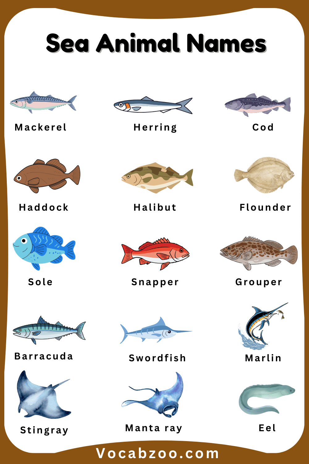 Sea Animal Names for Child in English with Pictures