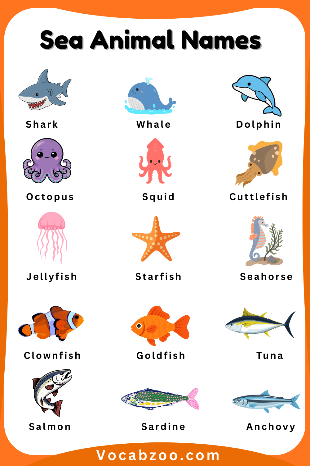 Sea Animal for Kids in English with Pictures