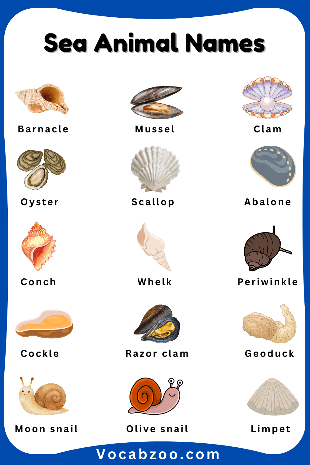 Sea Animals Pictures and Names in English for Child