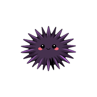 Sea urchin
