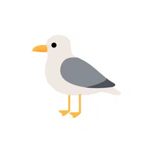 Seagull