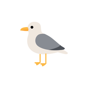 Seagull