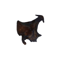 Seahare | Sea Animal Names for Kids in English