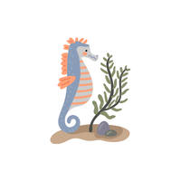 Seahorse