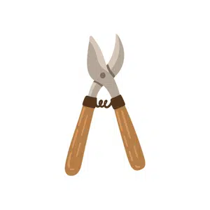 Secateurs