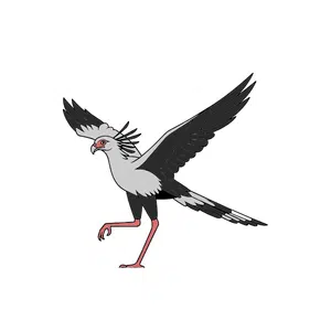 Secretarybird | Bird Names for Kids in English with Pictures