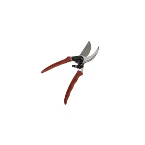 Shears | Garden Tools Names for Kids