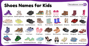 Shoes Names for Kids in English with Pictures