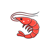 Shrimp | Sea Animal Names for Kids in English