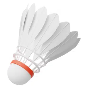 Shuttlecock | Sports Items Names for Kids