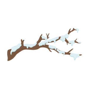 Snowfall | Weather Symbols Names for Kids