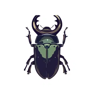 Stag Beetle