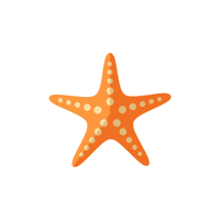 Starfish | Sea Animal Names for Kids in English