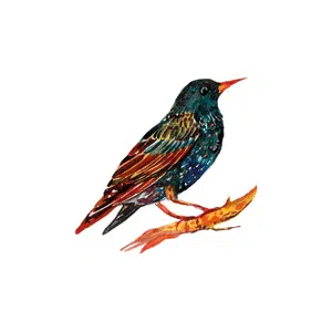 Starling | Bird Names for Kids in English