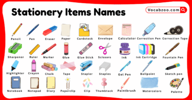 Stationery Items Names for Kids in English with Pictures