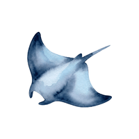 Stingray | Sea Animal Names for Kids in English