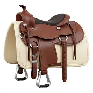 Stirrup
