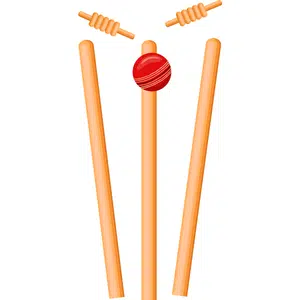 Stumps