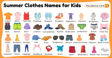 Summer Clothes Names for Kids in English with Pictures