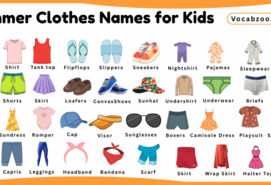 Summer Clothes Names for Kids in English with Pictures