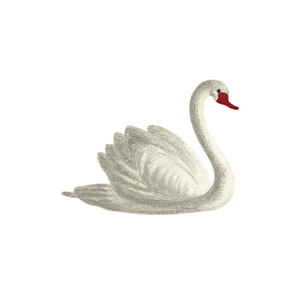 Swan | Bird Names for Kids in English with Pictures