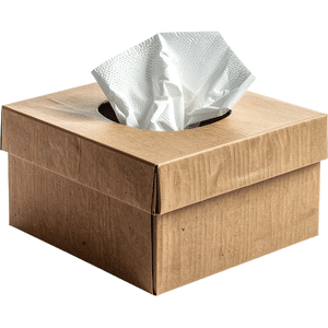 Tissuebox | Bedroom Items Names for Kids