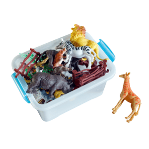 Toybox | Bedroom Items Names for Kids