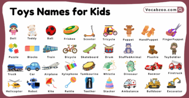 Toys Names for Kids in English with Pictures