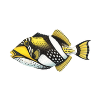 Triggerfish | Sea Animal Names for Kids in English