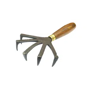 Weeder | Garden Tools Names for Kids