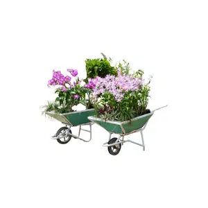 Wheelbarrow | Garden Tools Names for Kids