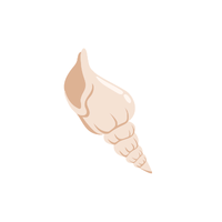 Whelk | Sea Animal Names for Kids in English