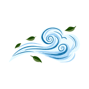 Wind | Weather Symbols Names for Kids