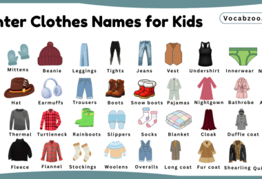 Winter Clothes Names for Kids in English with Pictures