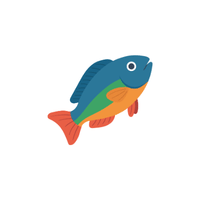 Wrasse | Sea Animal Names for Kids in English