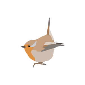 Wren | Bird Names for Kids in English with Pictures