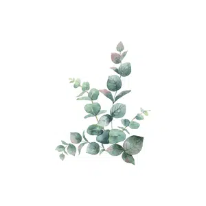 Accent wall | Home Decoration Items Names for Kids