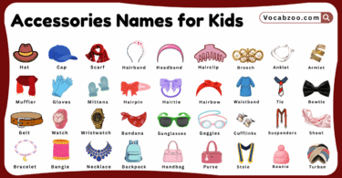 Accessories Names for Kids in English with Pictures