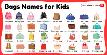 Bags Names for Kids in English with Pictures